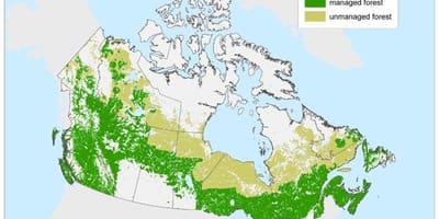 Kaart van Canada bossen