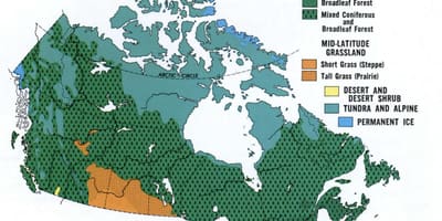 Kaart van Canada vegetatie